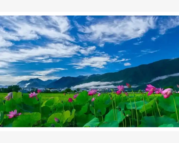如何调理功能性便秘：中医为你解惑，告别苦恼