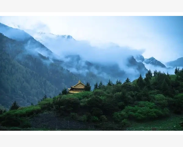 儿童如何化痰效果好