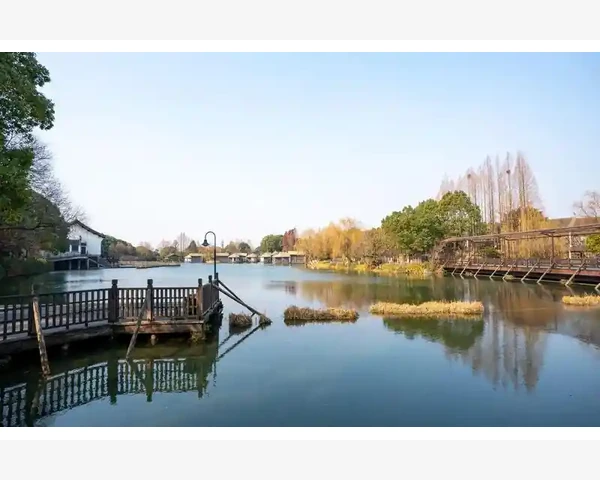 如何调理卵巢健康？中医食疗来帮忙！