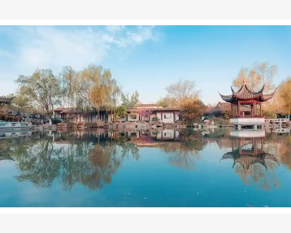 补肾壮阳，中医养生食疗全解析